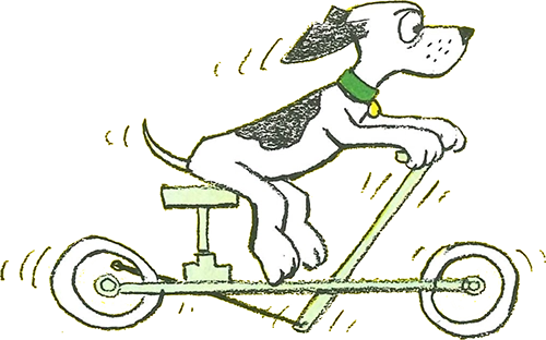 Go, Dog. Go! dog